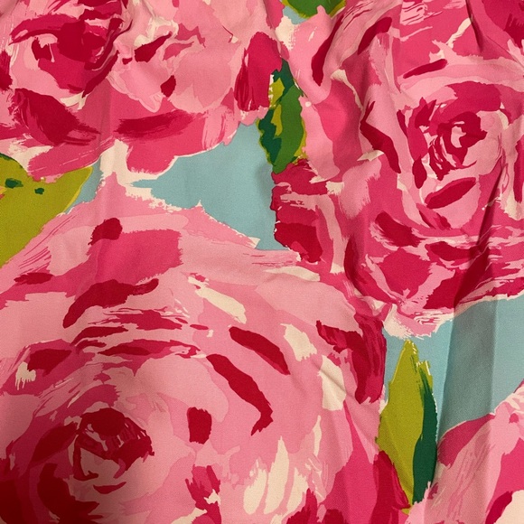 Lilly Pulitzer Keetan dress First Impressions 10 - Picture 3 of 5